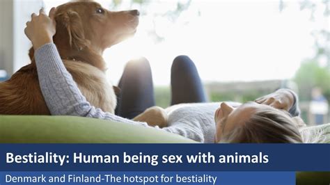 bestiality 